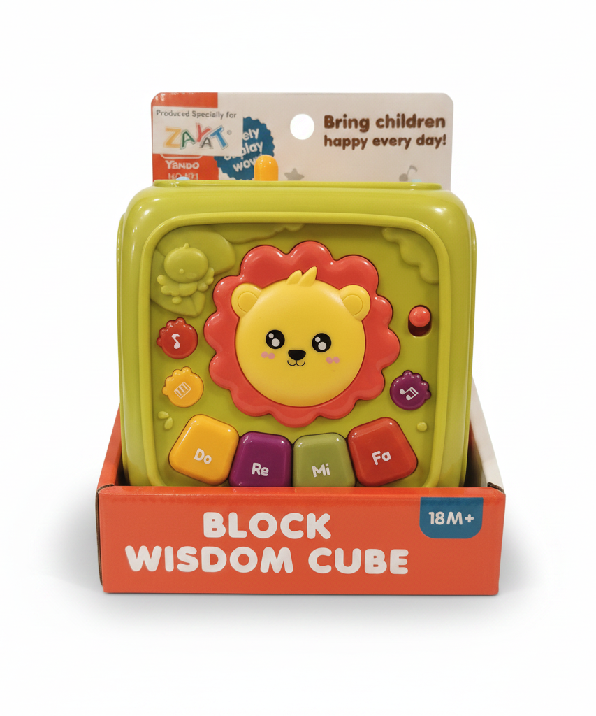 Block Wisdom Cube