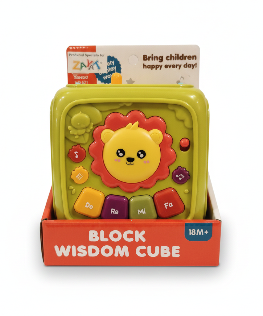 Block Wisdom Cube