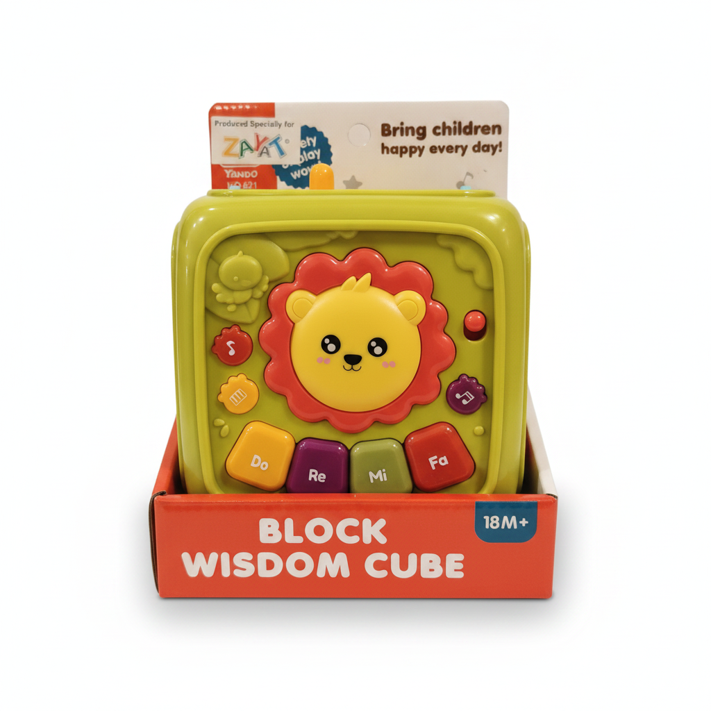 Block Wisdom Cube