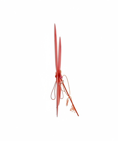 Glitter Red Butterfly Fairy Wings & Wand Set