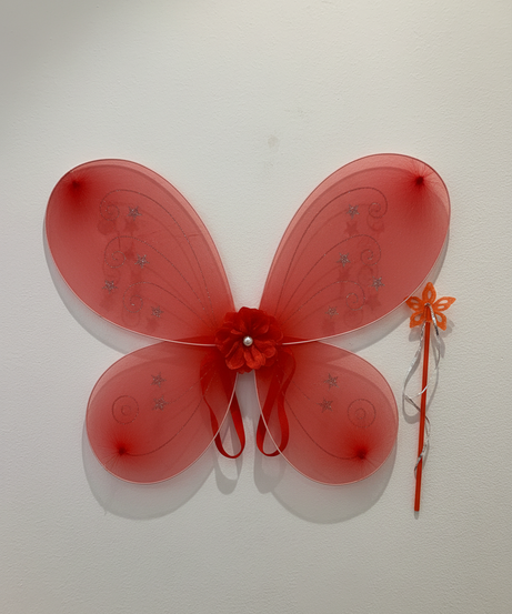 Glitter Red Butterfly Fairy Wings & Wand Set
