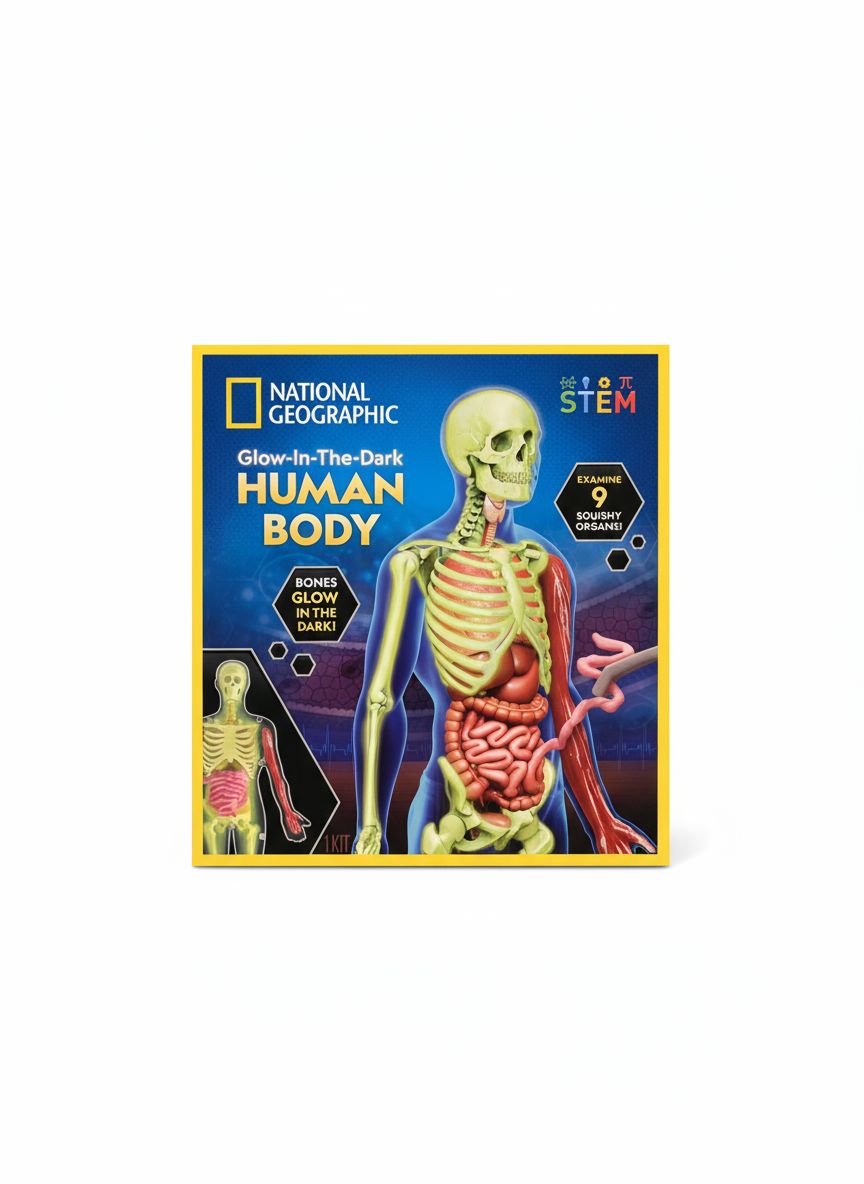 National Geographic Glow In The Dark