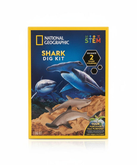 National Geographic Dig Kit