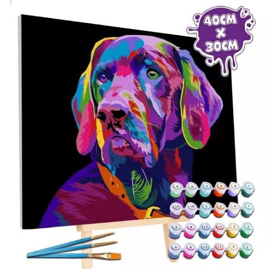 Painting By Numbers Canvas Mounted Ready To Display On The Wall 40*30