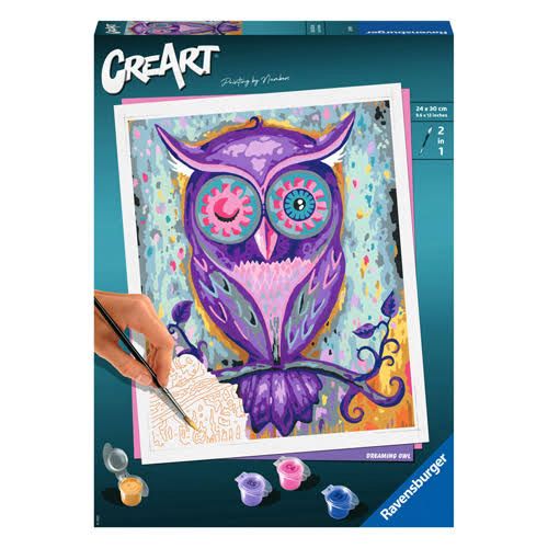 Ravensburger Creart Painting Numbers Owl Colored Frame