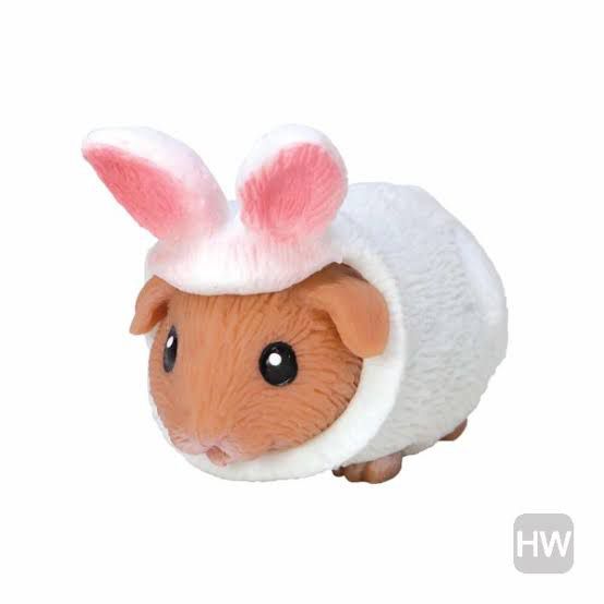 Party Animals Guinea Pigs Rats