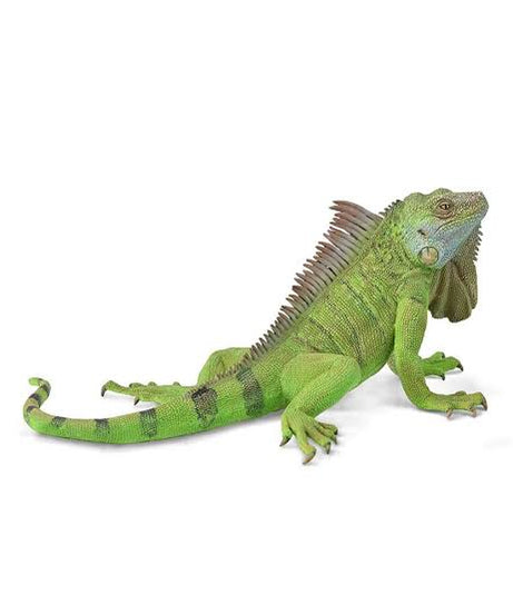 Animal Figures 5
