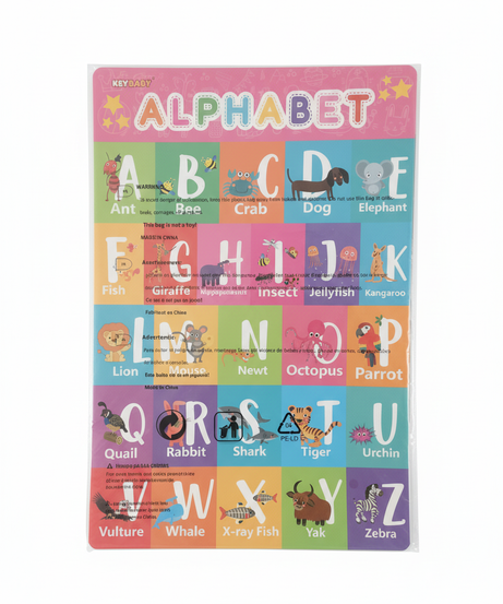 KEY BABY ALPHABET Chart