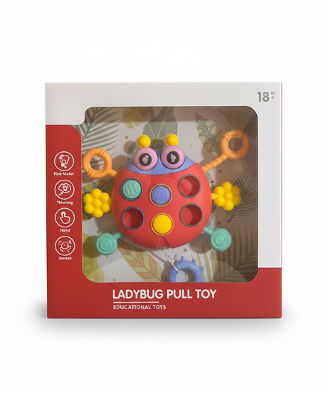 Ladybug Pull Toy