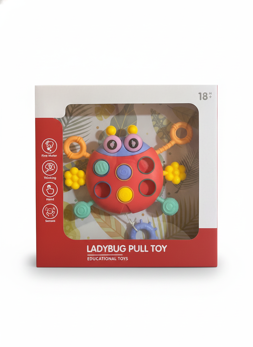 Ladybug Pull Toy