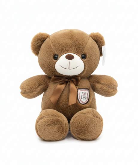Limited Edition Artist's Teddy Bear 30cm