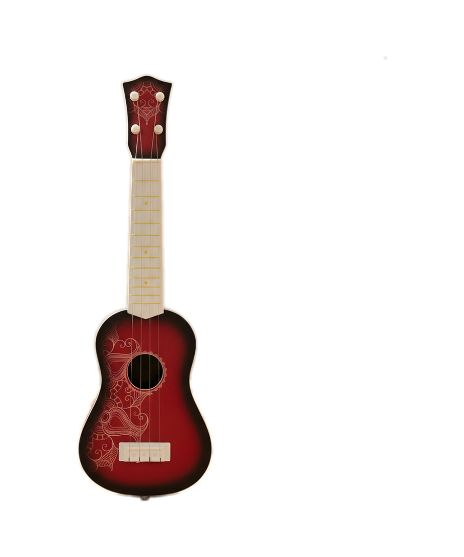 Novel and vivid GUITAR STAR