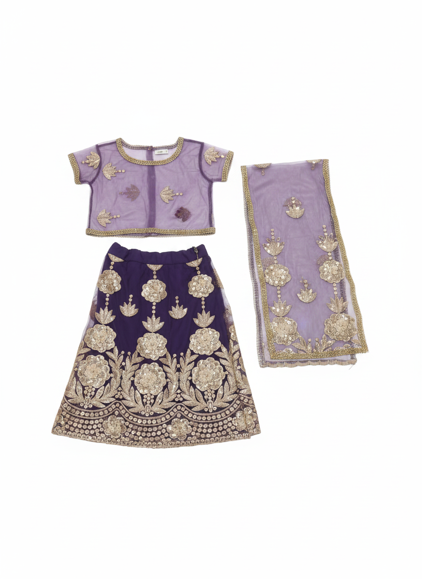 Indian Girl Costume