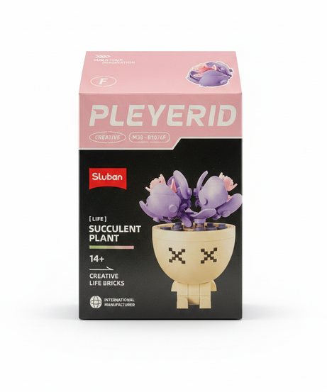 Sluban PLEYERID Succulent Plant