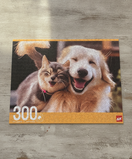 Smiling Pet Friends 300 Piece Art Puzzle