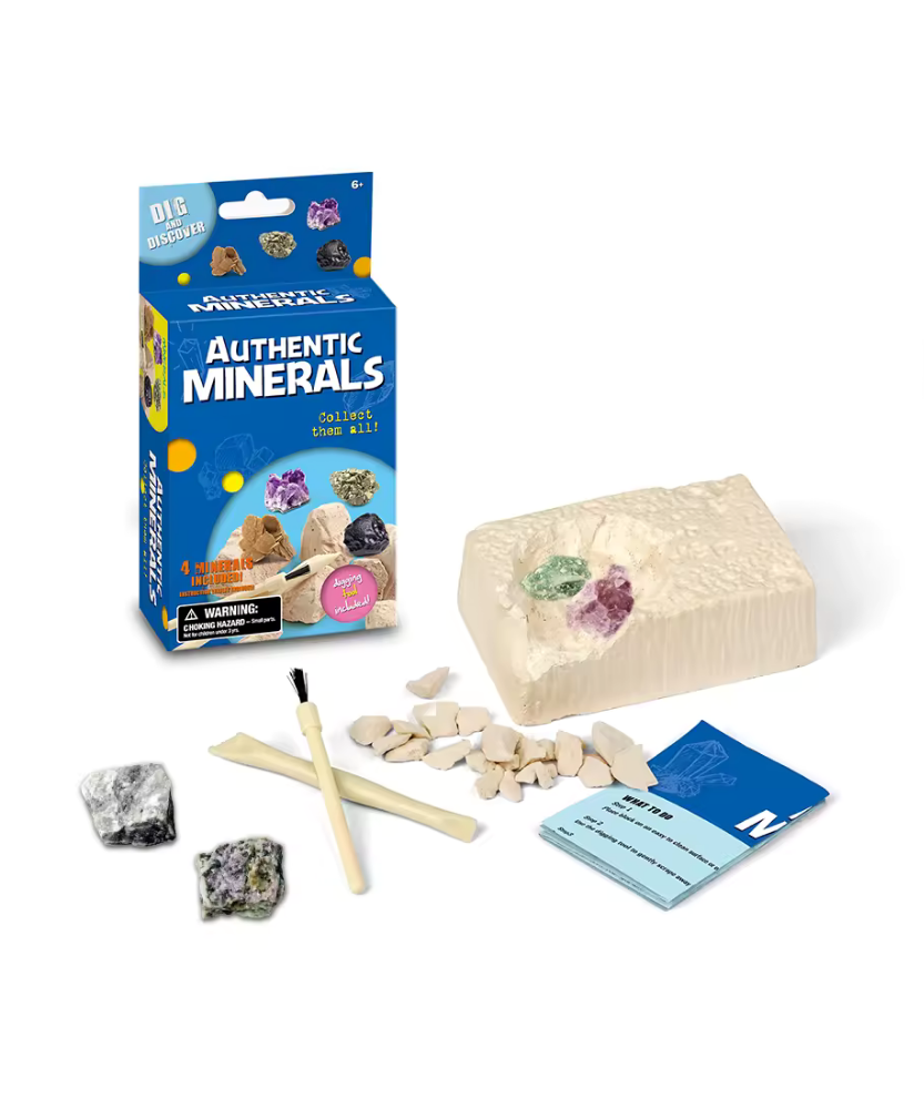 Dig And Discover Game