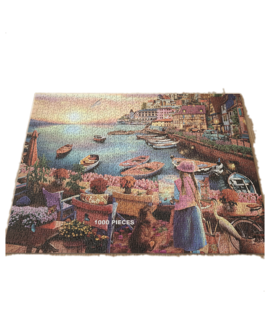 ZMAX View of Venice 1000 Piece Jigsaw Puzzle