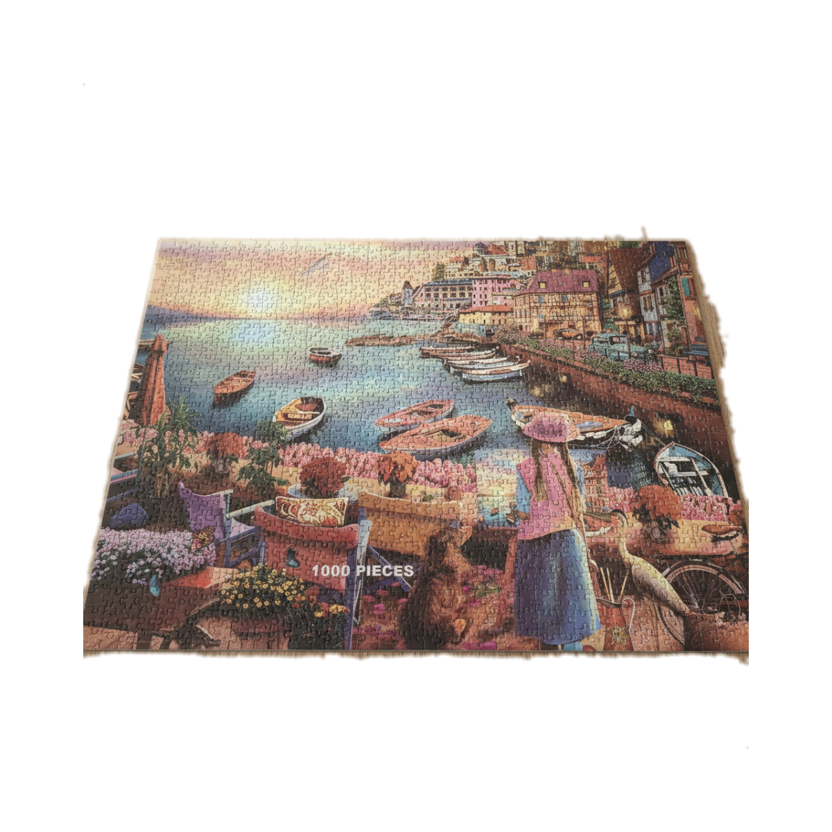 ZMAX View of Venice 1000 Piece Jigsaw Puzzle