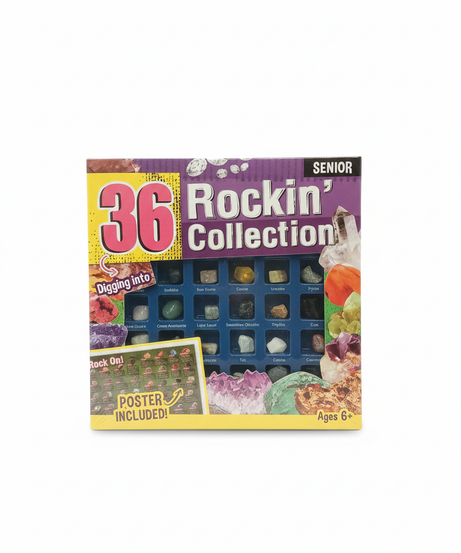 36 Rockin' Collection Senior