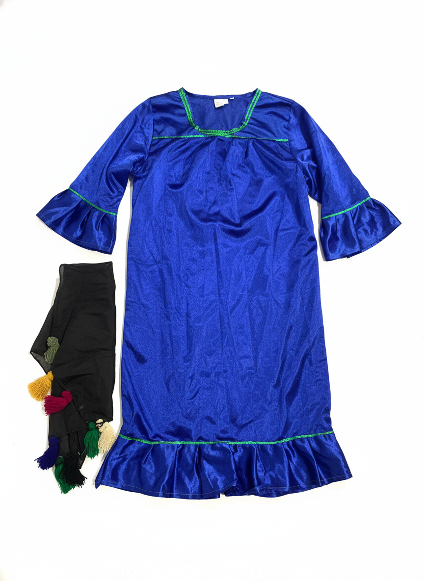 Girl Peasant Blue Costume