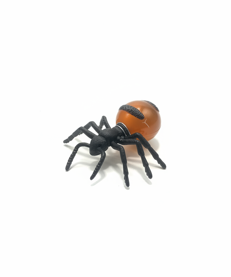 Novelty Spider Toy with Amber Abdomen