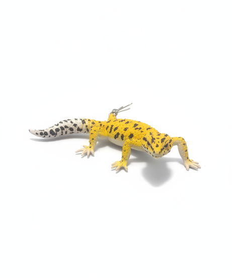 Spotted Leopard Gecko Figurine