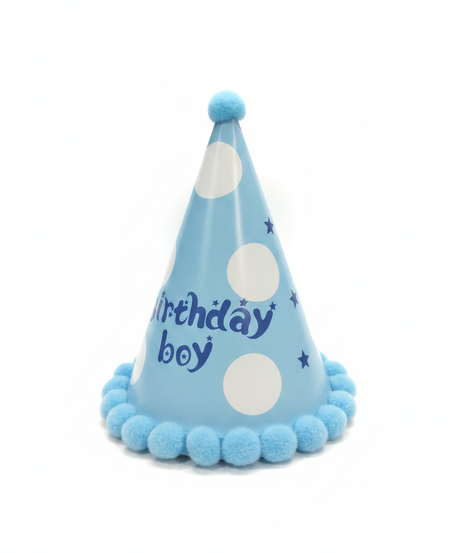 Birthday Boy Party Hat