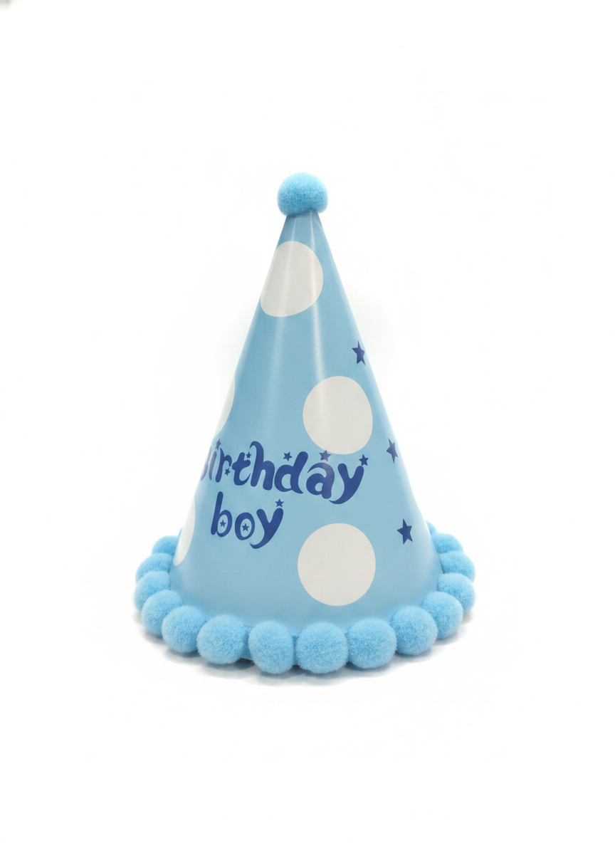 Birthday Boy Party Hat
