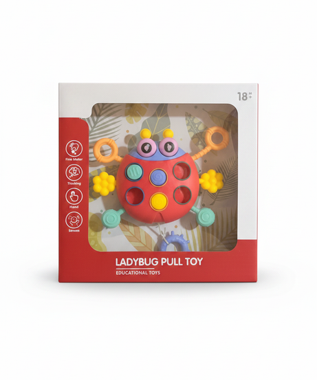 Ladybug Pull Toy