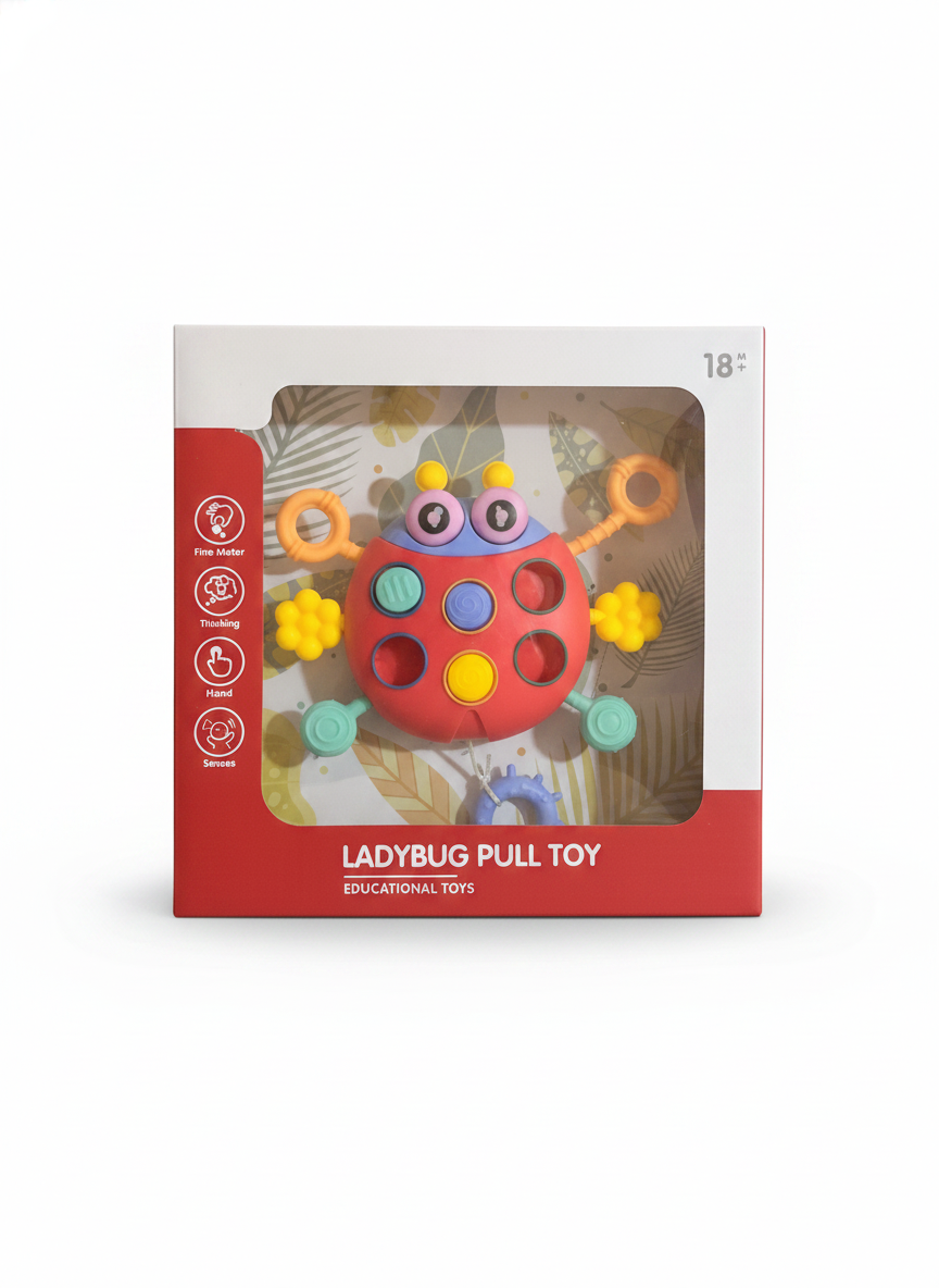 Ladybug Pull Toy