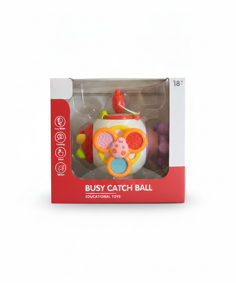 Busy Catch Ball