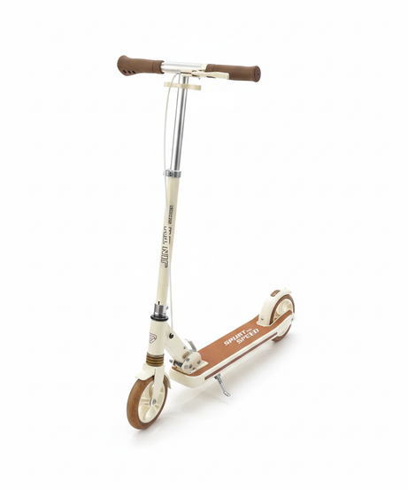 JIN TAI SPURT and SPEED Scooter