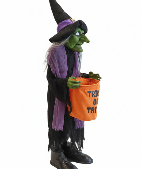 Halloween The Green Witch Trick Or Treat