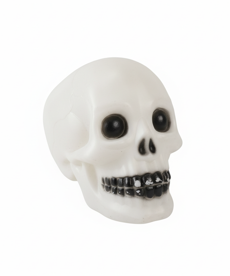 Horror Halloween Skeleton Head
