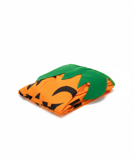 Halloween Orange Pumpkin