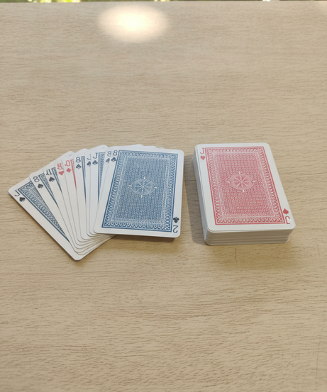 Poker 100% All Plastic Playing Cards
