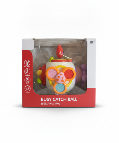 Busy Catch Ball