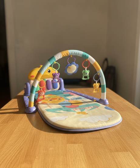 BABY GYM PLAY MAT
