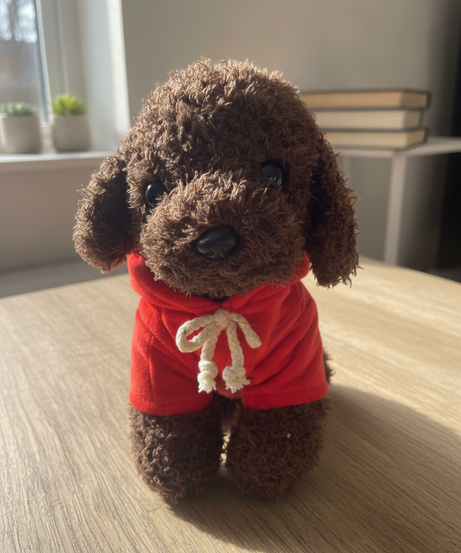 Fluffy Brown Plush Dog with Red Hoodie