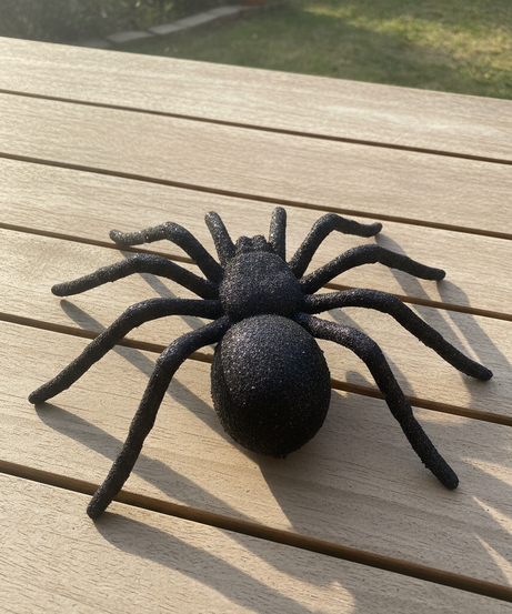 Spider Decoration