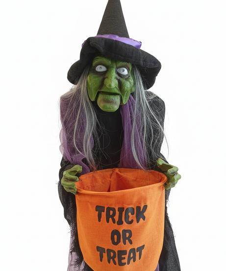 Halloween The Green Witch Trick Or Treat