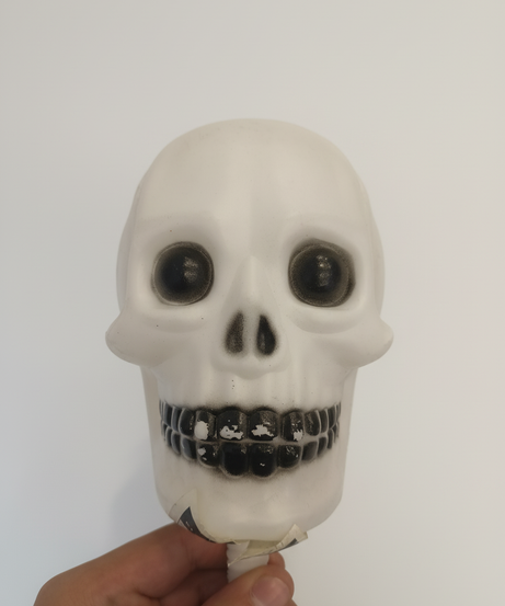 Horror Halloween Skeleton Head
