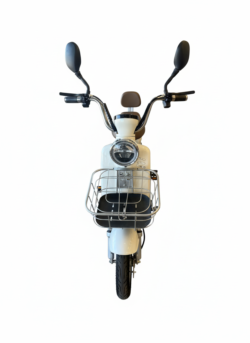 Scooter Electric 500W