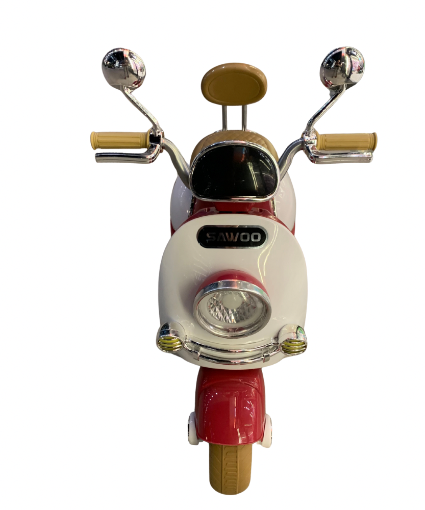 Sawoo Electric Car