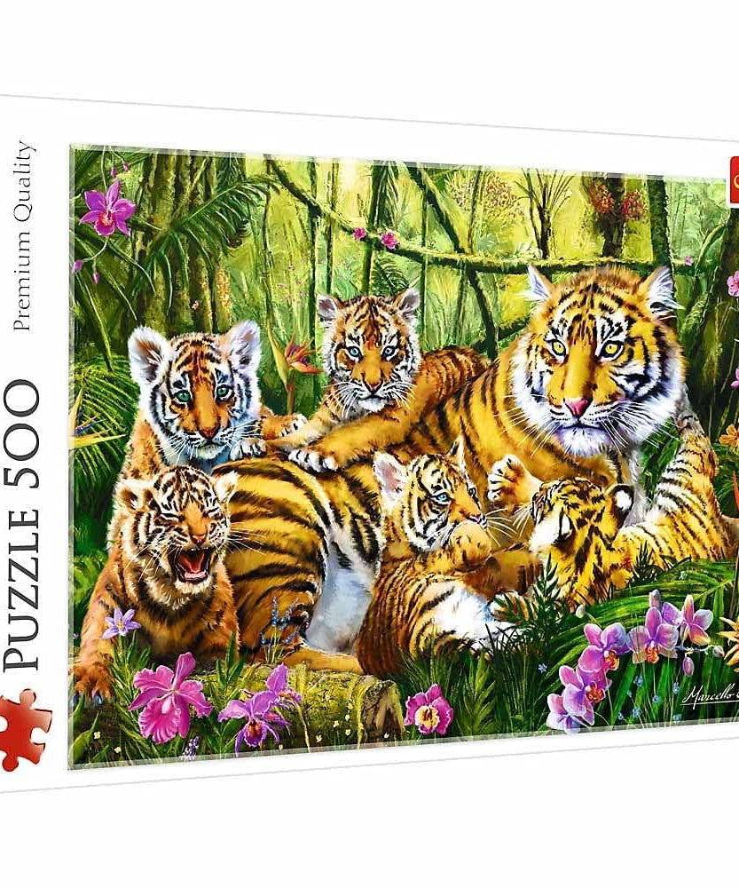Puzzle 500 Miscellaneous