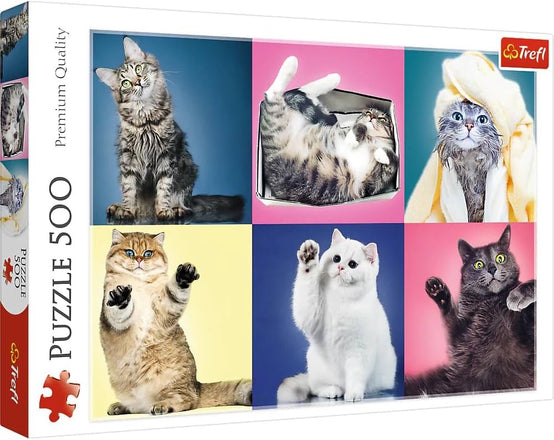 Puzzle 500 Miscellaneous