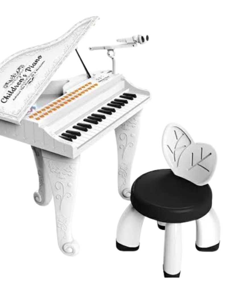 Music Educational Electronic Organ (Piano Style)