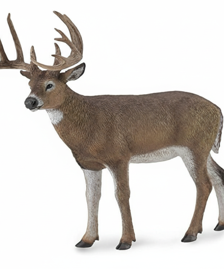 Animal Figures  - White-Tailed Deer