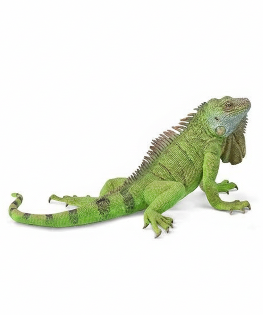Animal Figures  - GREEN IGUANA