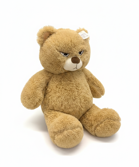 Grumpy Frowny Face Teddy Bear Plush
